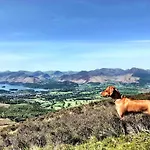 Cosy On Edge Of District * Little Broughton